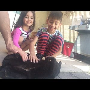 Meet your Posher, Carmen