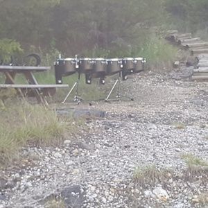 Meet your Posher, Joey