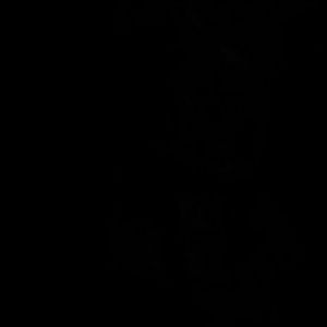 Meet your Posher, Reginald