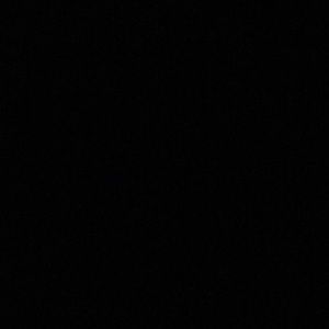 Meet your Posher, Phyllis