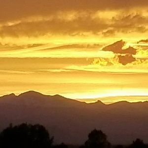 Meet your Posher, Scarlett