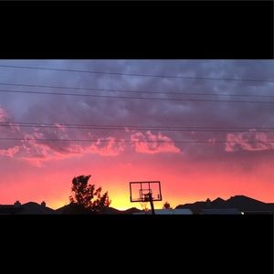 Meet your Posher, Lama