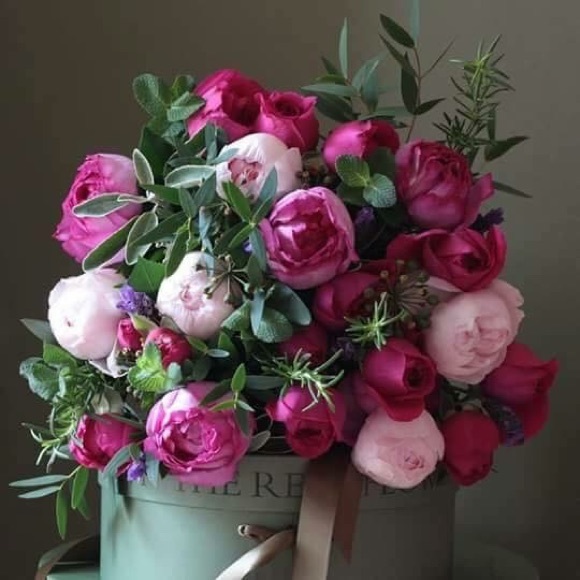 Meet your Posher, Diana - Picture 3 of 8