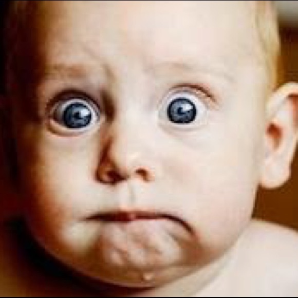 Meet your Posher, Diana - Picture 7 of 8