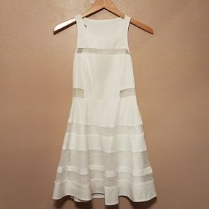 Lulu's Play Nice Skater Dress