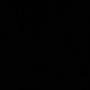 Meet your Posher, Todd