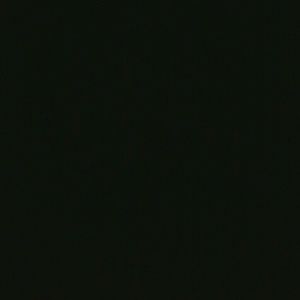 Meet your Posher, Analisa