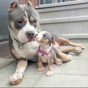 Meet your Posher, Kory