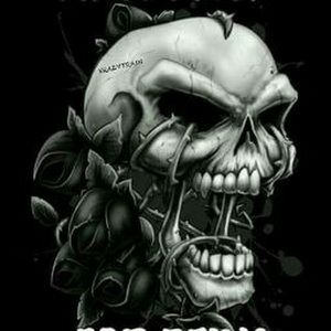 Meet your Posher, Steve