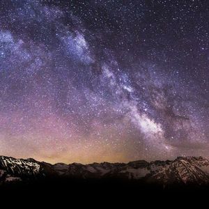 Meet your Posher, Webster