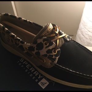 Brand new, never worn Sperry Top Siders! Size 10