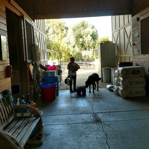 Meet your Posher, Sheryl