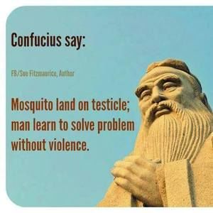 Meet your Posher, Cezar