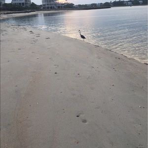 Meet your Posher, Bob