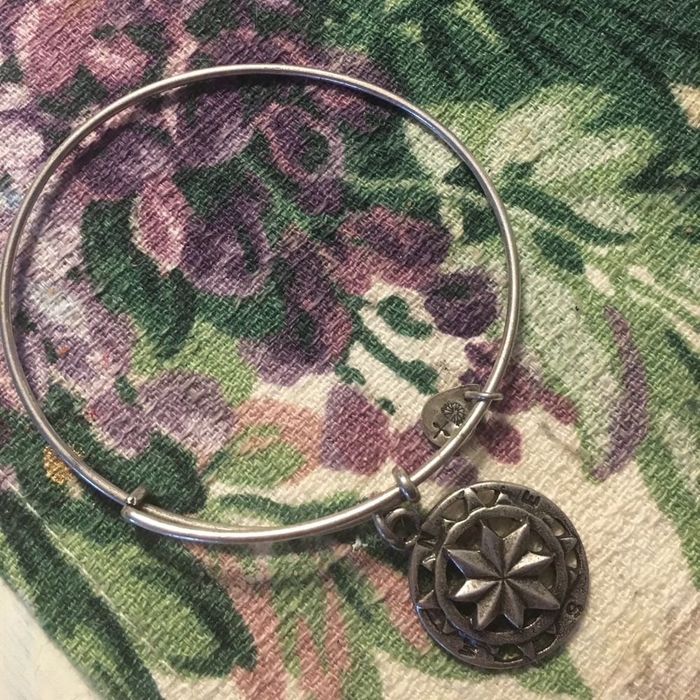 Alex and ani compass bracelet