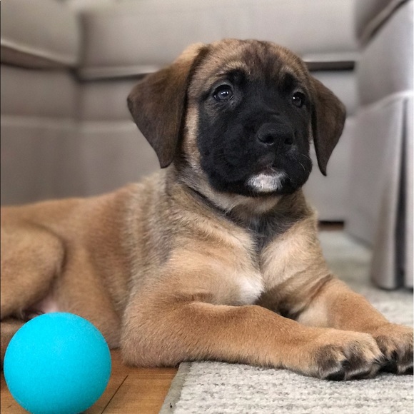 Meet your Posher, Andrew - Picture 1 of 1