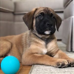 Meet your Posher, Andrew