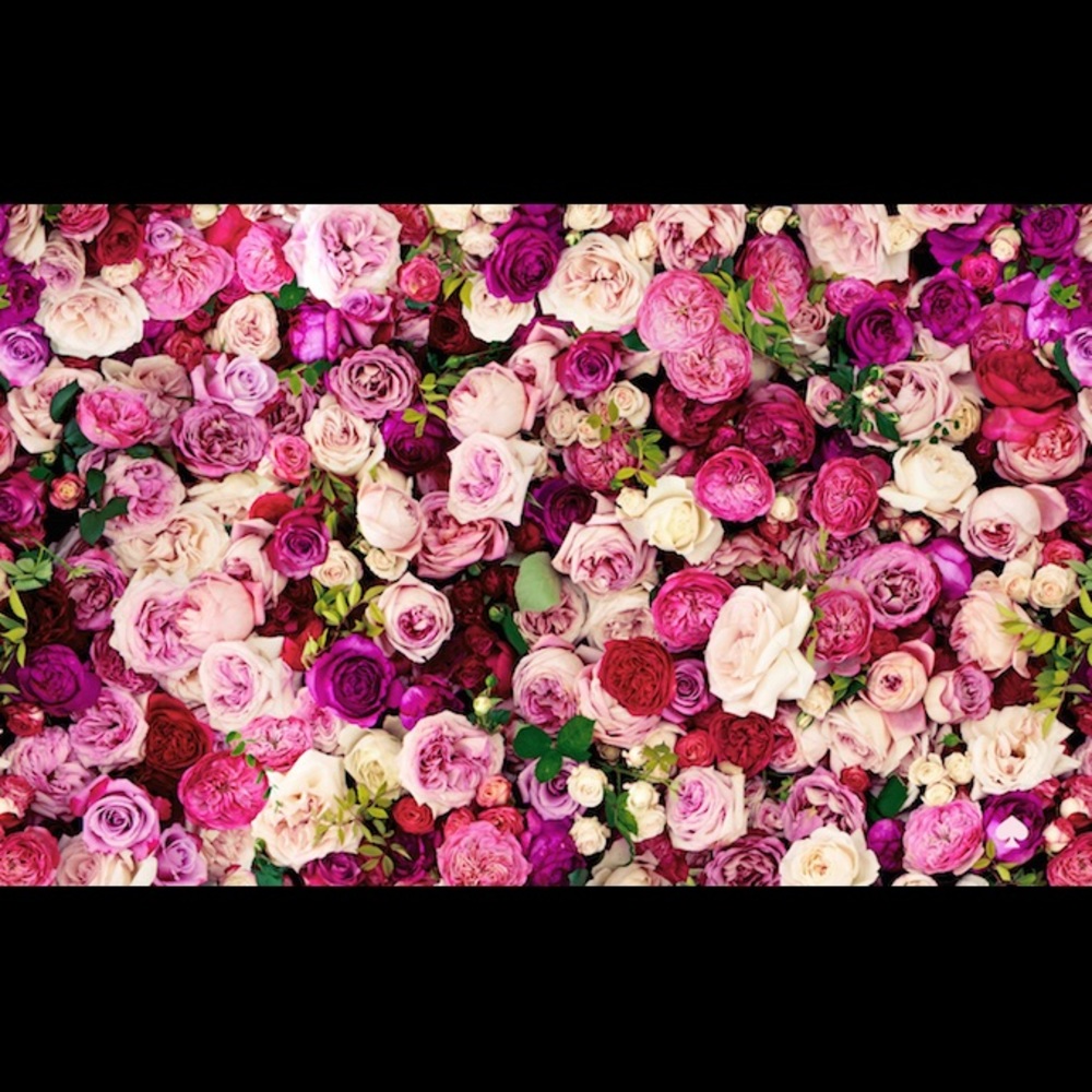 Meet your Posher, Kim