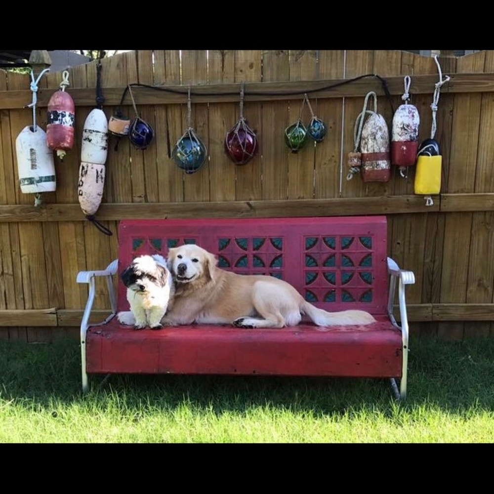 Meet your Posher, Robin