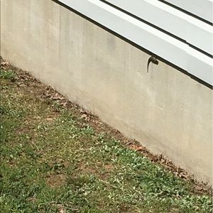 Meet your Posher, Molly