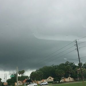 Meet your Posher, Tara