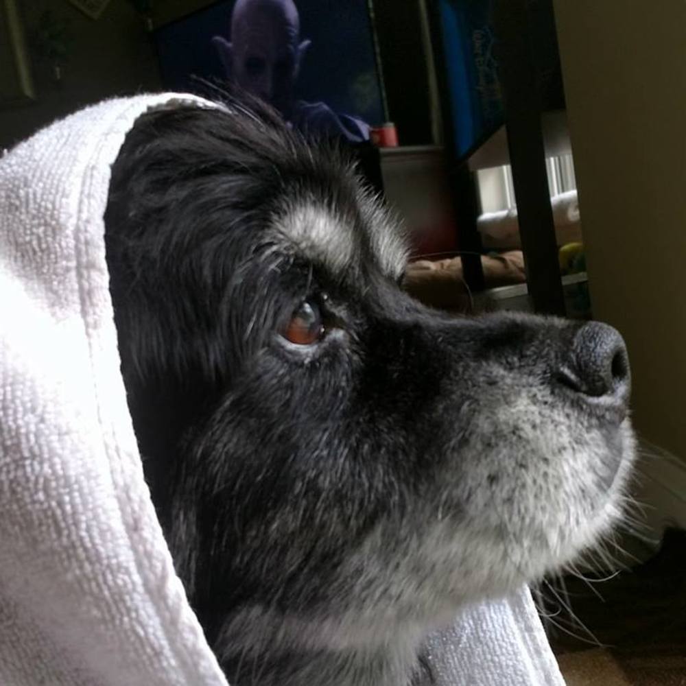 Meet your Posher, Kristine