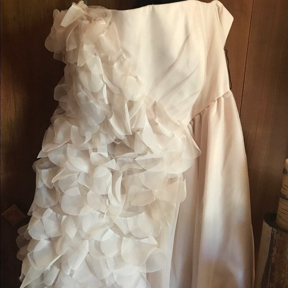 Vera Wang Champagne Dress Size 16