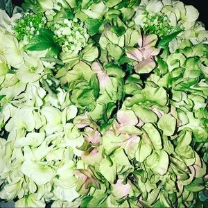 Meet your Posher, Candice