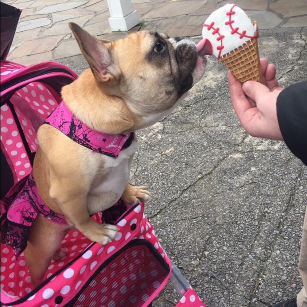 Meet your Posher, Rachele