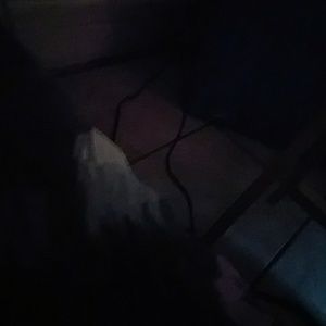 Meet your Posher, Humberto