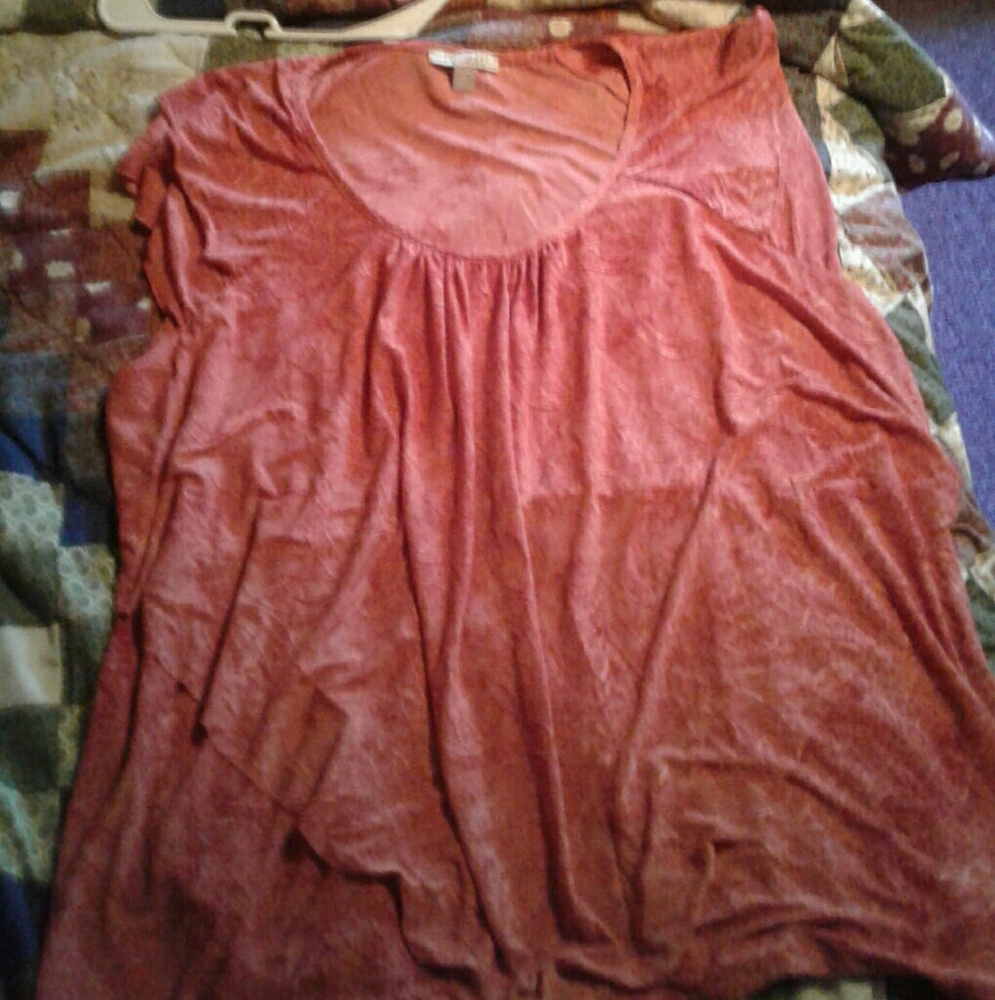 Dressy shirt sleeve shirt