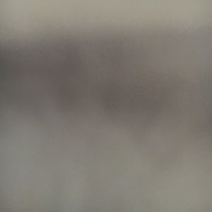 Meet your Posher, Larry