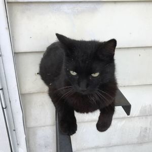 Meet your Posher, Evan