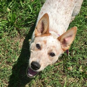 Meet your Posher, Logan