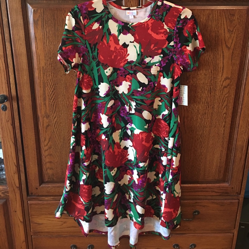 Lularoe Carly Dress - medium Floral NWT🌻🌹