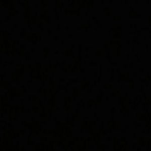 Meet your Posher, Raven