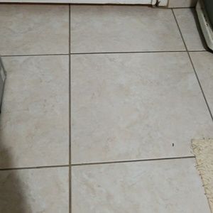 Meet your Posher, Patty