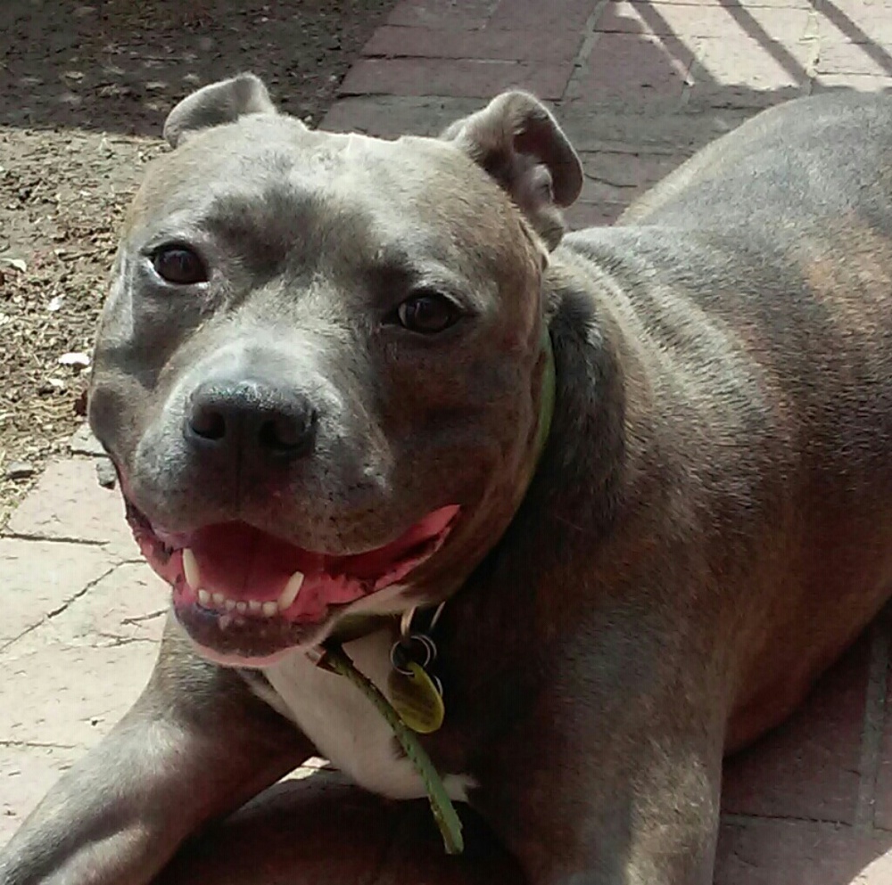 Meet your Posher, Victoria