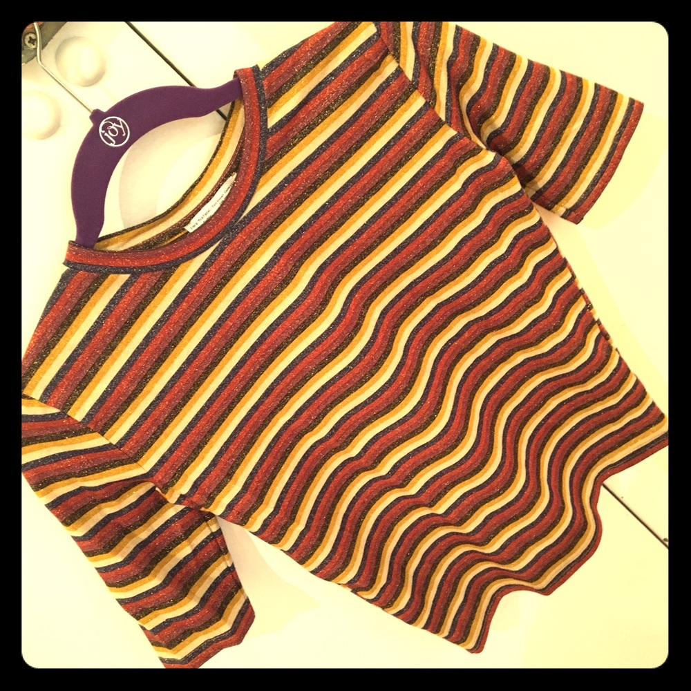 Zara striped top- multi color glitter