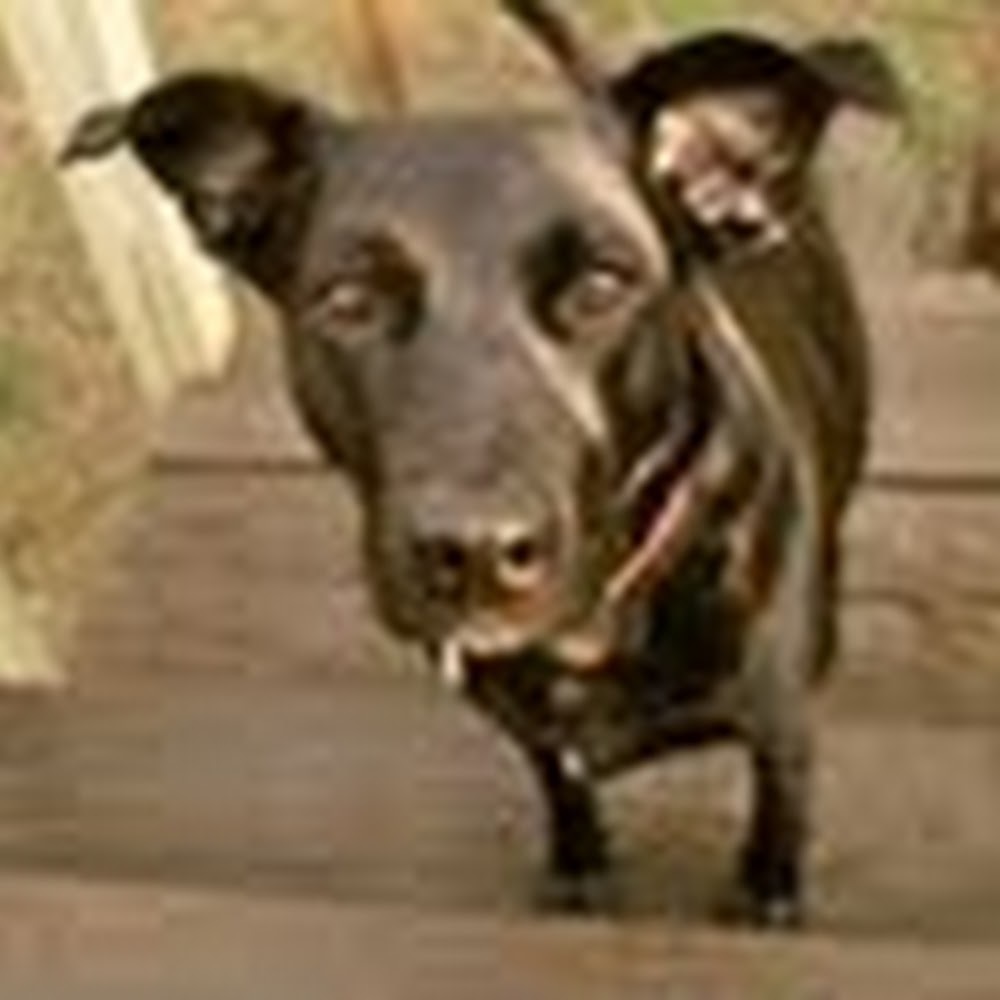 Meet your Posher, Mary beth