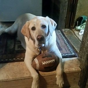 Meet your Posher, Dan