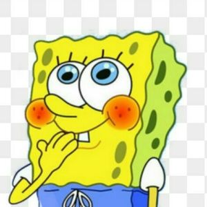 Meet your Posher, Kay