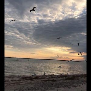 Meet your Posher, Corynne