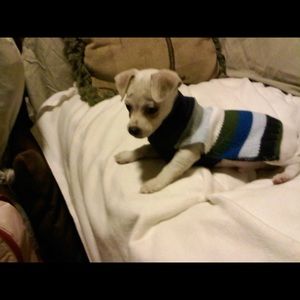 Meet your Posher, Emma