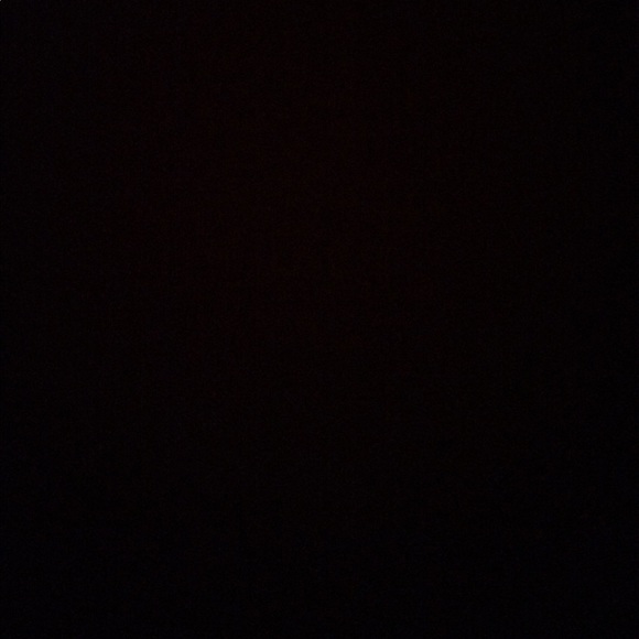 Meet your Posher, Riley - Picture 1 of 1