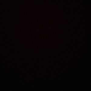 Meet your Posher, Riley