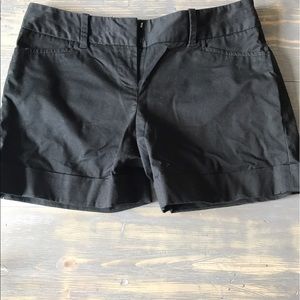 The Limited Shorts