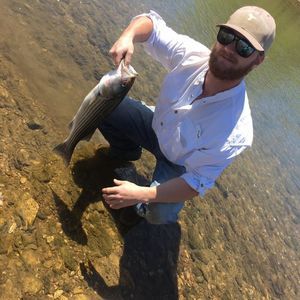 Meet your Posher, Andy