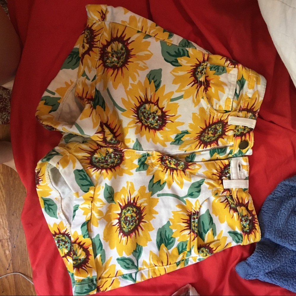 American apparel high waisted shorts