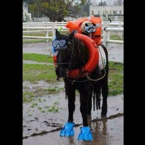 Meet your Posher, Becky